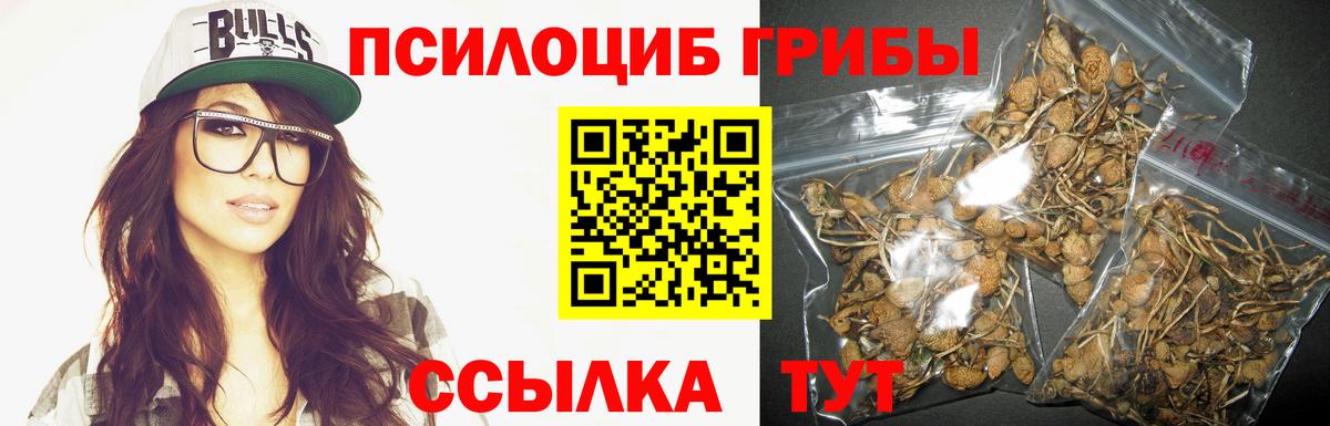 Галлюциногенные грибы GOLDEN TEACHER Кольчугино