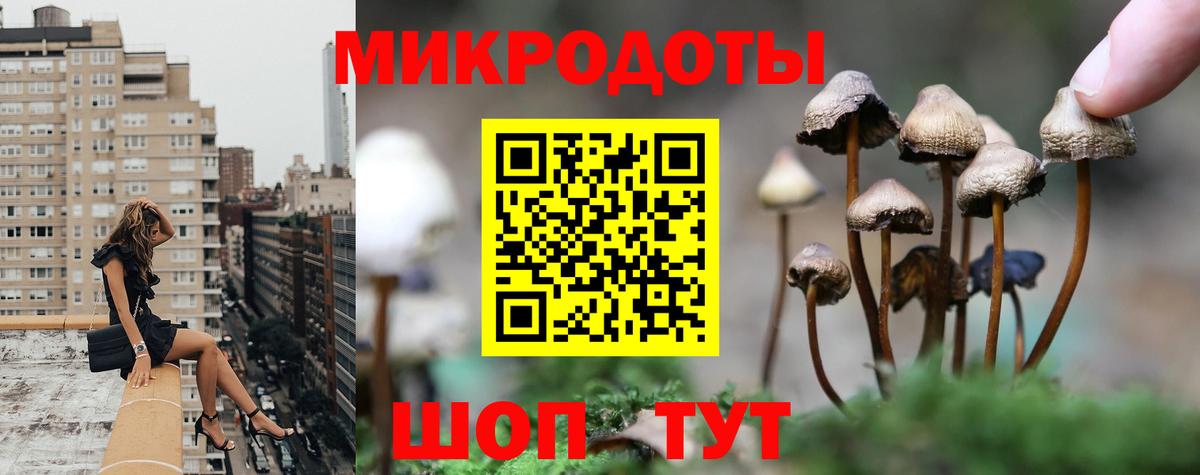Галлюциногенные грибы Magic Shrooms  Вход с VPN  Кольчугино 