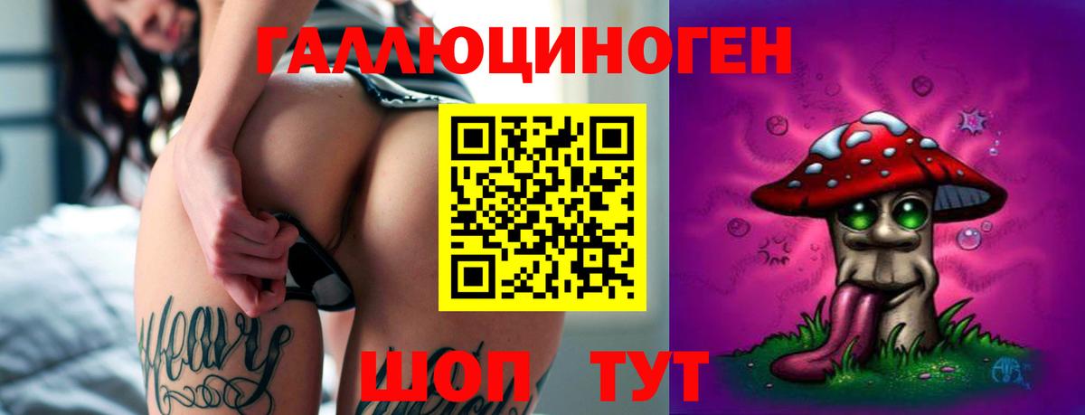 Псилоцибиновые грибы прущие грибы  Кольчугино 