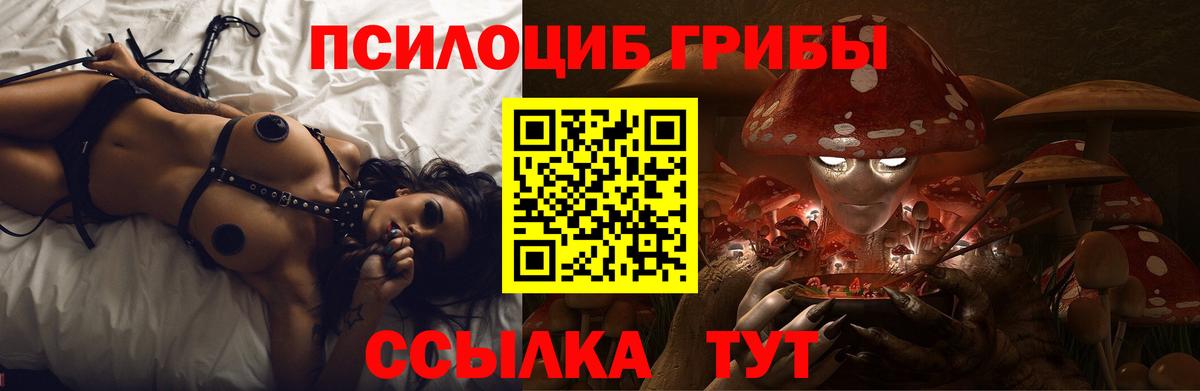 Галлюциногенные грибы Psilocybe Кольчугино
